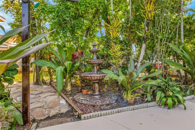 a view of a garden with plants