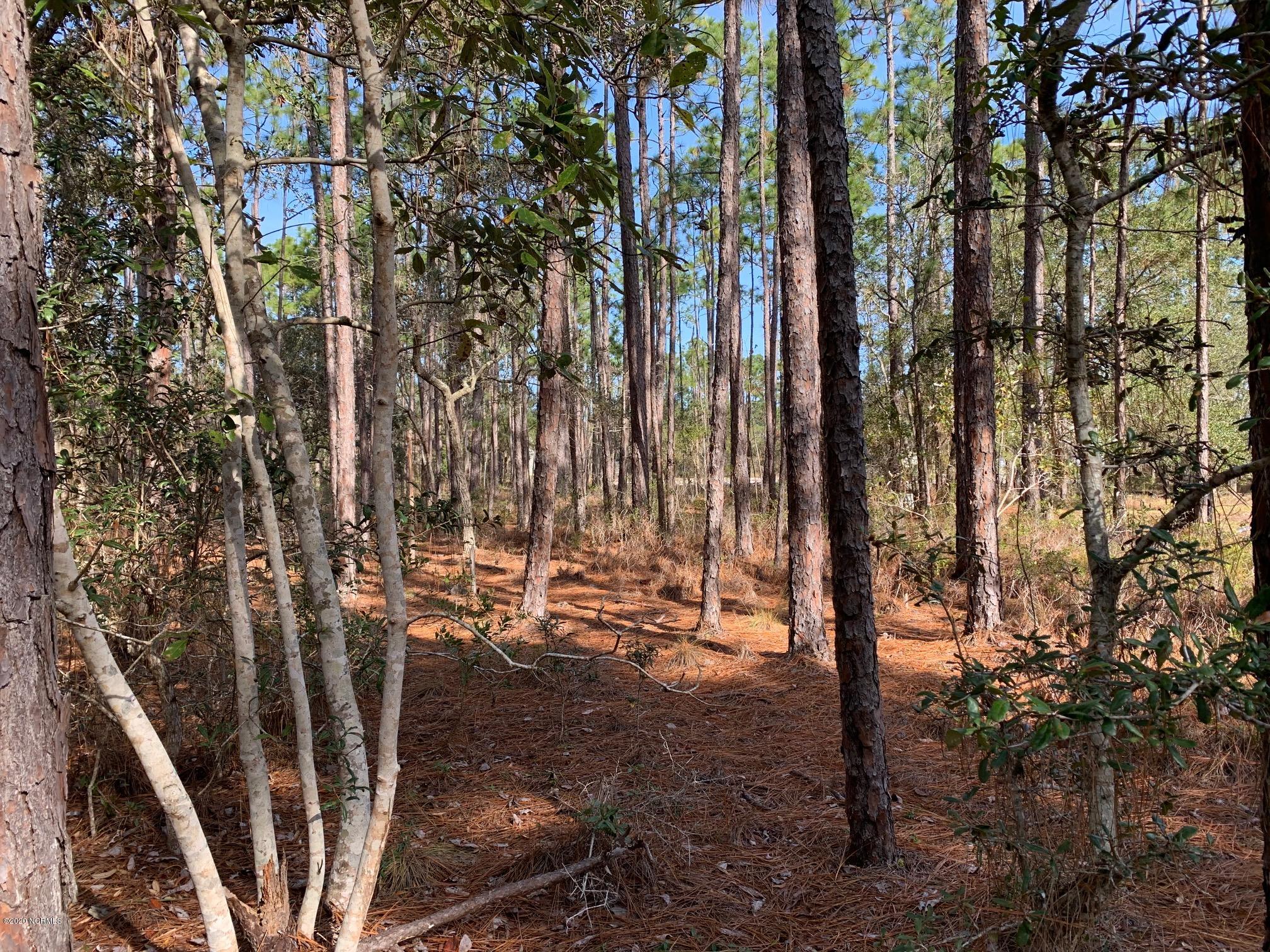 290 South High Point Road Boiling Spring Lakes, NC 28461 - Photo 2 of 6 290 N High Point Rd
