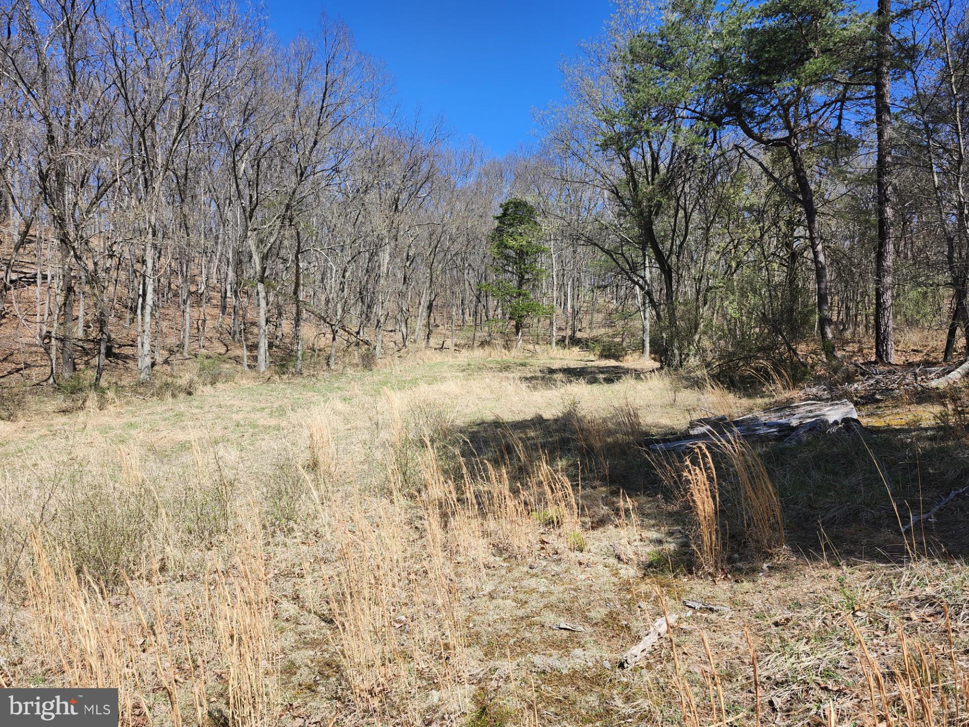 A J Kelley Road Old Fields, WV 26845 - Photo 26 of 65