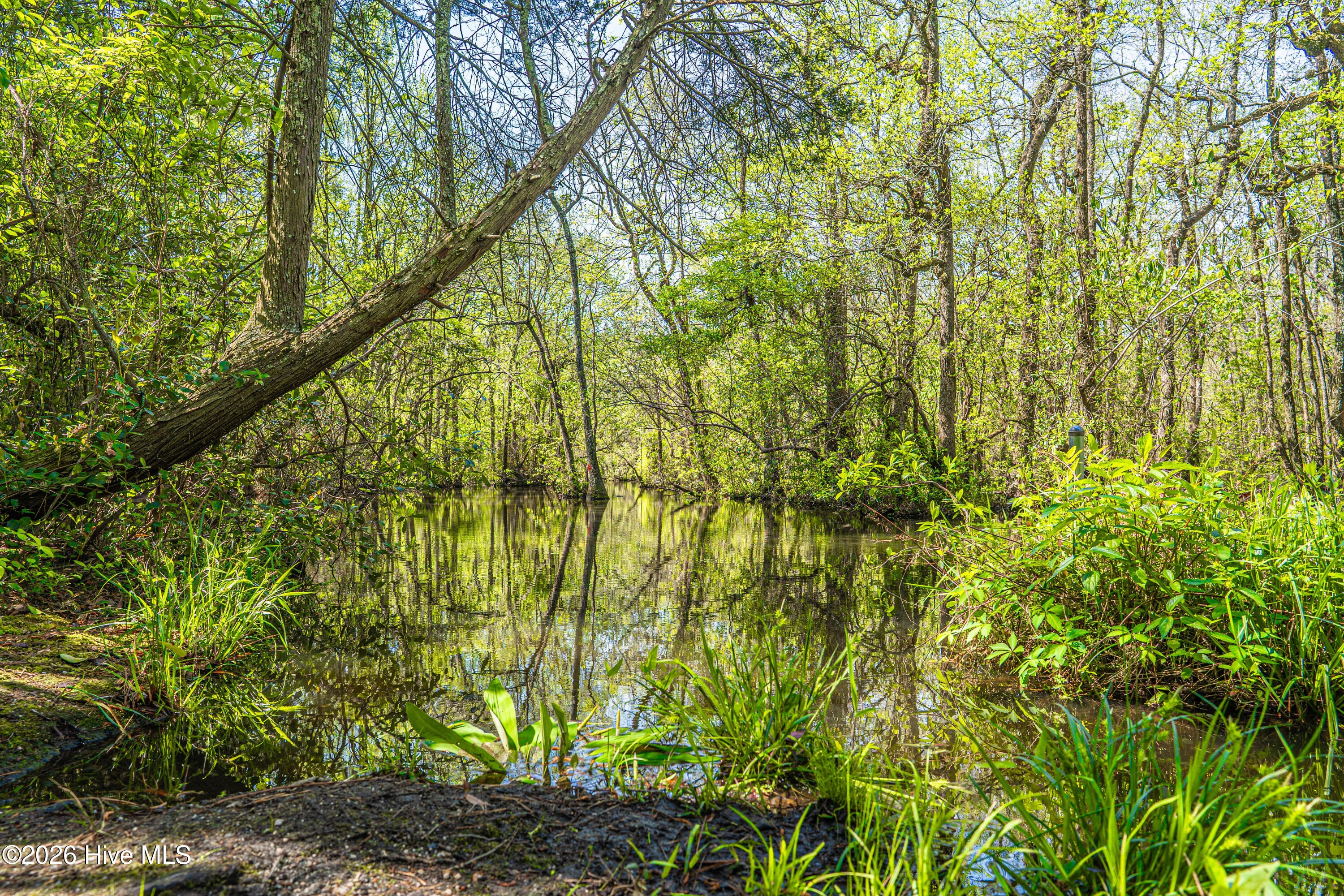 780 Sun Road Aberdeen, NC 28315 - Photo 36 of 134 DSC02402