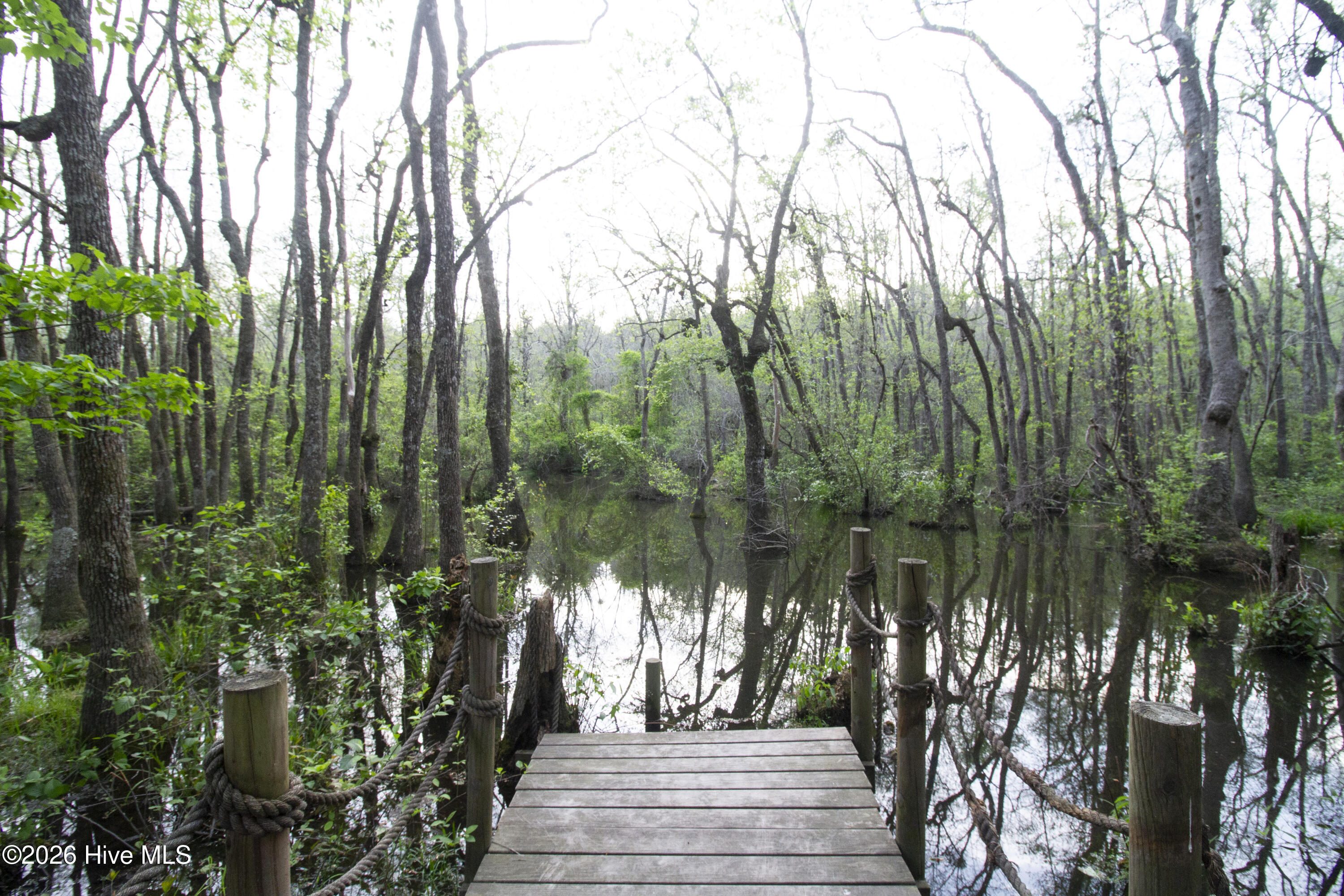780 Sun Road Aberdeen, NC 28315 - Photo 49 of 134 IMG_9308