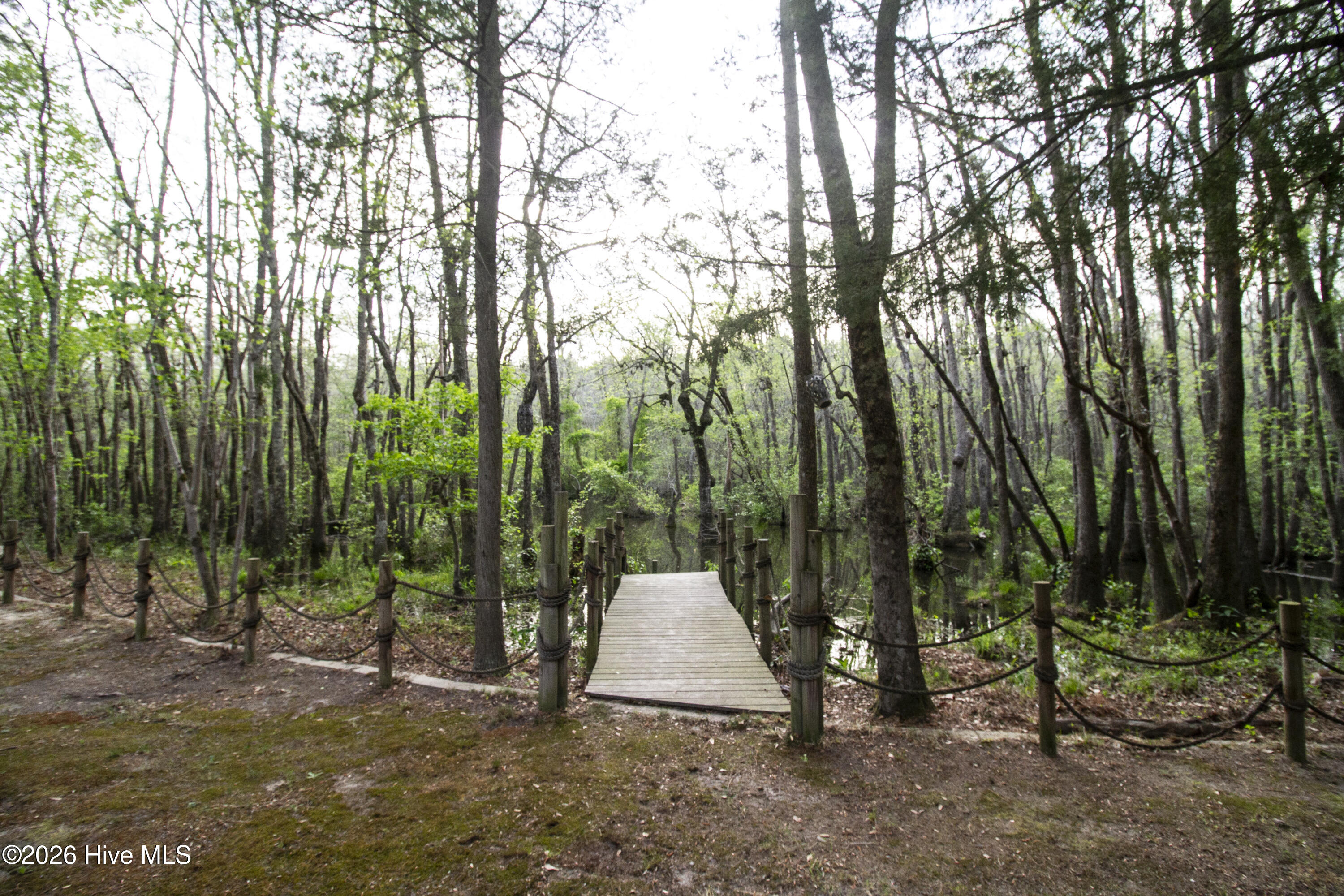 780 Sun Road Aberdeen, NC 28315 - Photo 61 of 134 IMG_9307