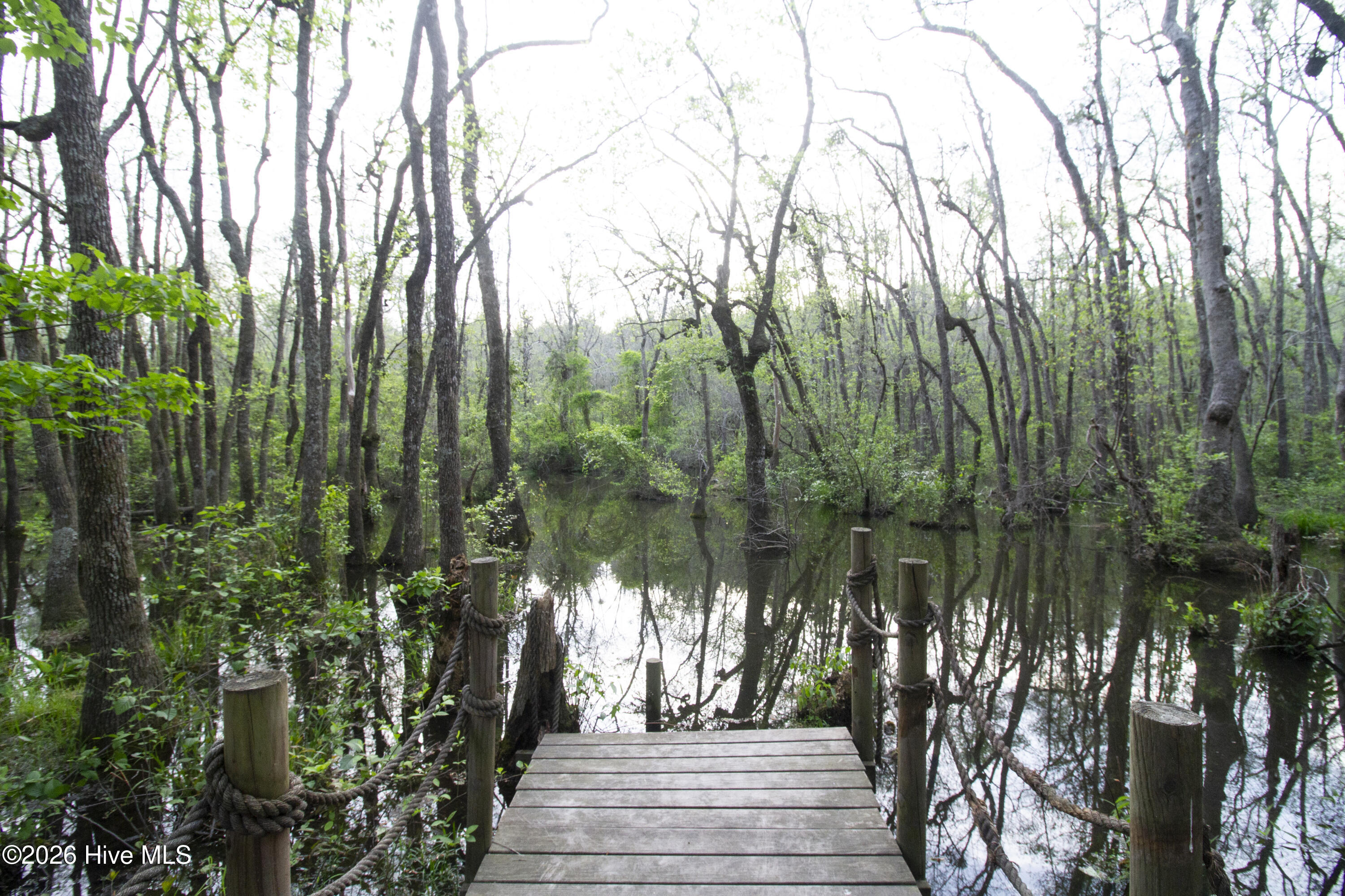780 Sun Road Aberdeen, NC 28315 - Photo 62 of 134 IMG_9308