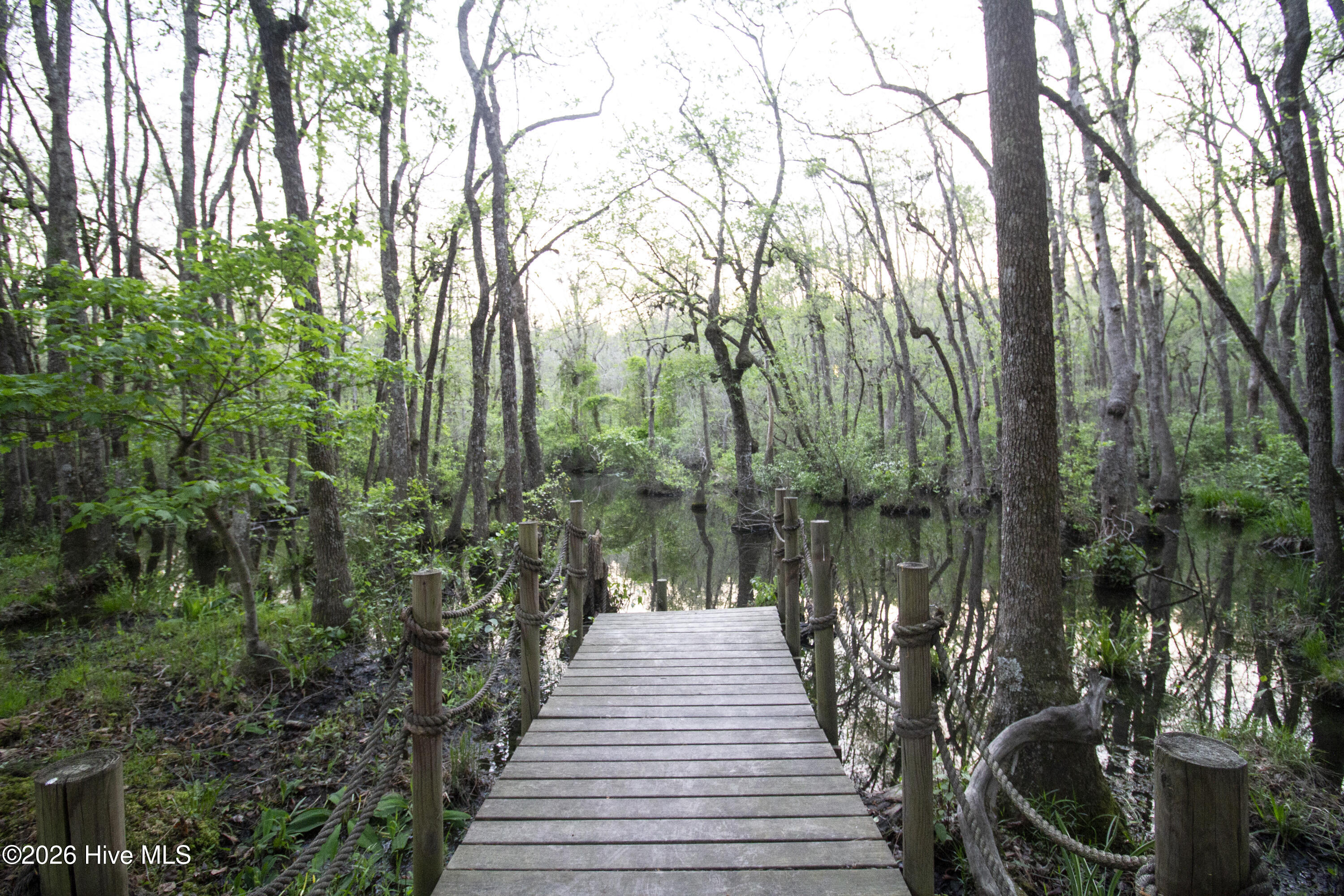 780 Sun Road Aberdeen, NC 28315 - Photo 80 of 134 IMG_9396