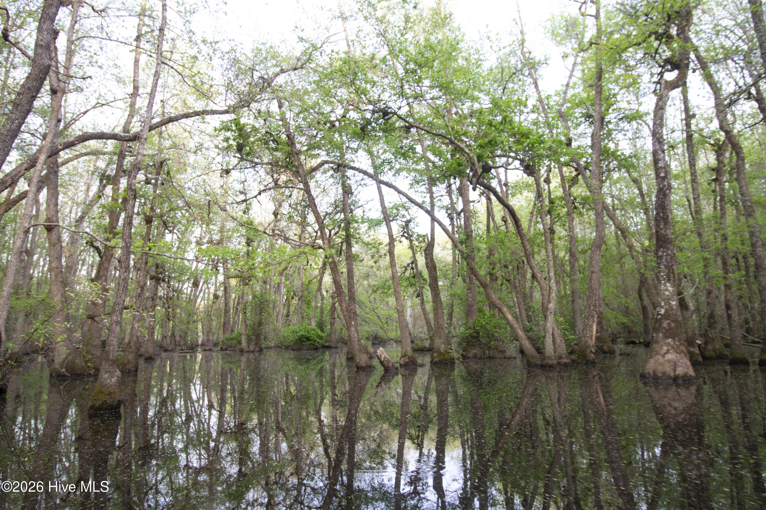 780 Sun Road Aberdeen, NC 28315 - Photo 94 of 134 IMG_9441