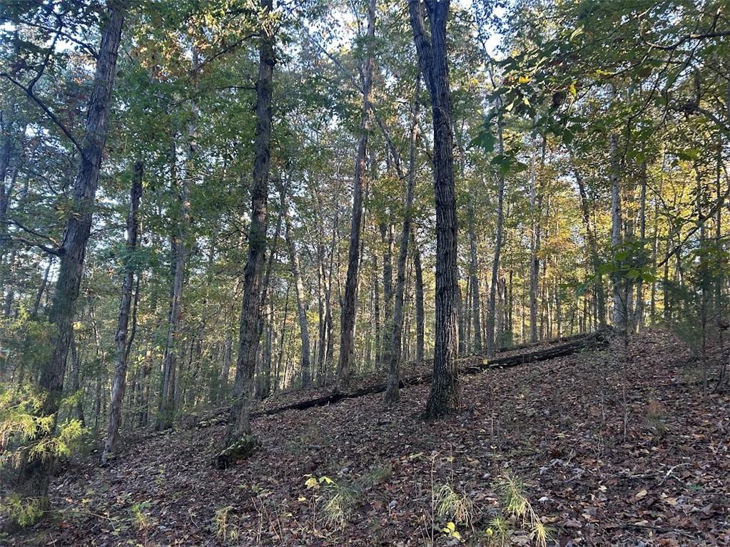 0 Old Columbus Road Bowdon, GA 30108 - Photo 8 of 26