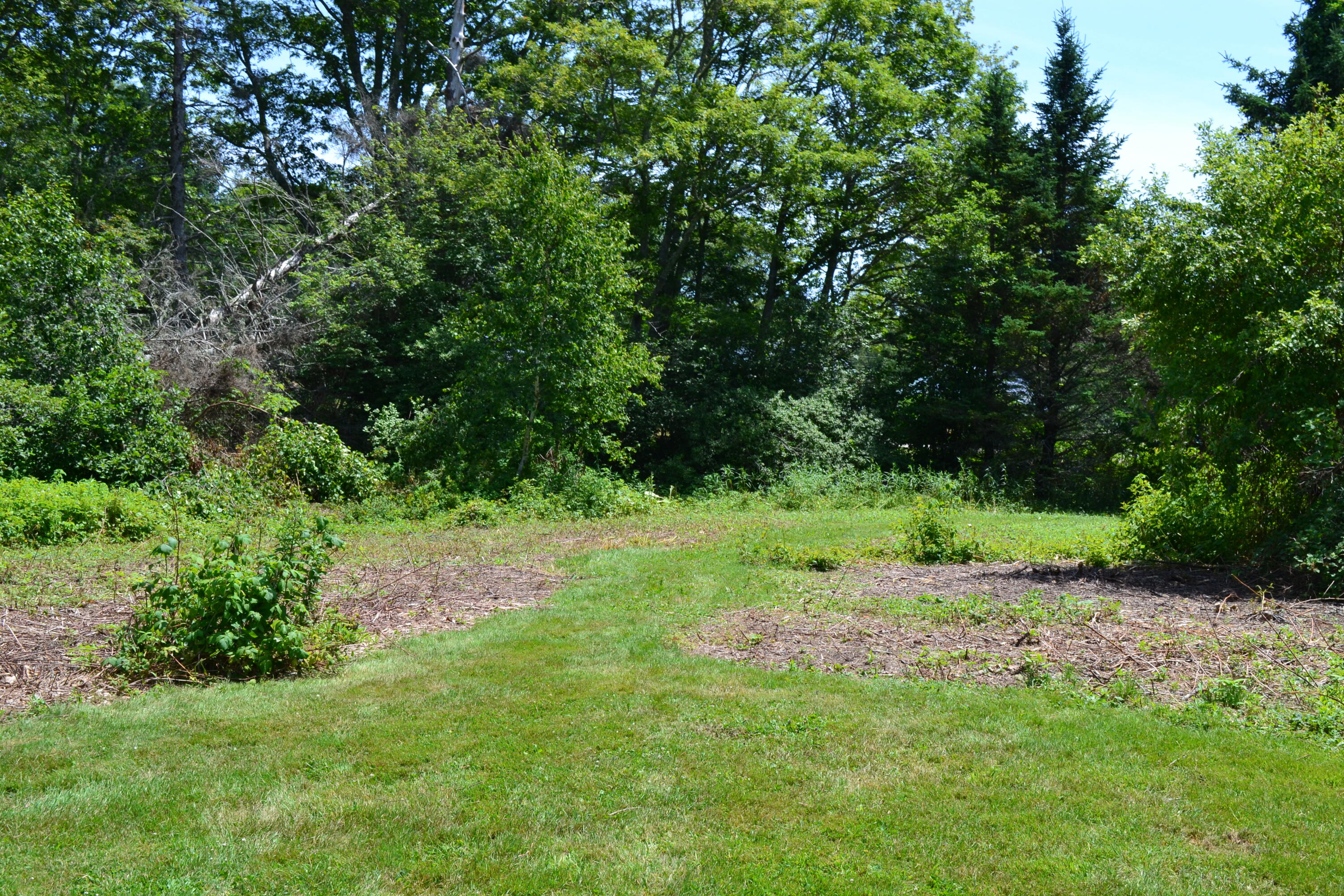 63 Bradley Shore Road Pemaquid, ME 04558 - Photo 4 of 22 DSC_0100