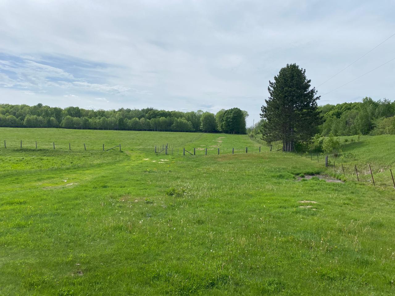 9412 Old 32 Road Argonne, WI 54511 - Photo 30 of 44