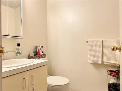 a bathroom with a sink a toilet and vanity