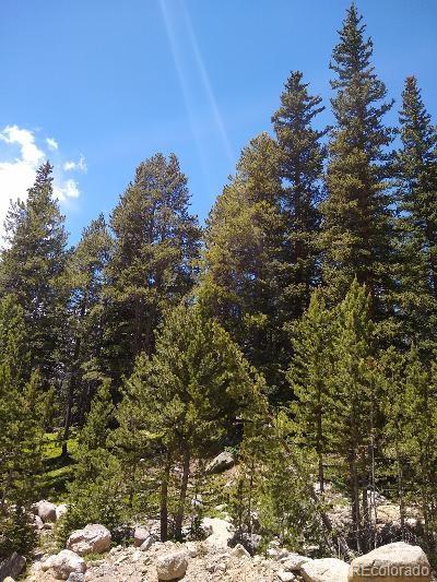 404 Lake Road Idaho Springs, CO 80452 - Photo 2 of 9 Gallery Image 2