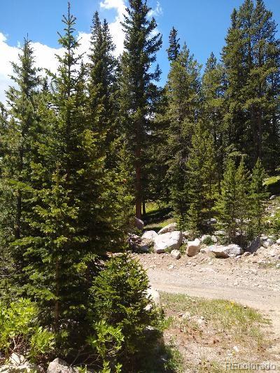404 Lake Road Idaho Springs, CO 80452 - Photo 3 of 9 Gallery Image 3