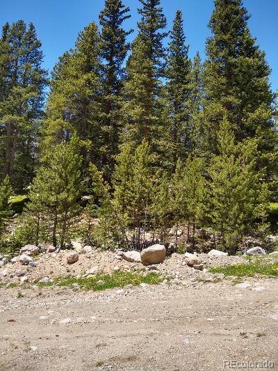 404 Lake Road Idaho Springs, CO 80452 - Photo 4 of 9 Gallery Image 4