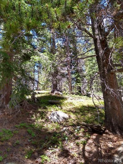 404 Lake Road Idaho Springs, CO 80452 - Photo 6 of 9 Gallery Image 6