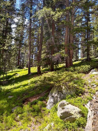 404 Lake Road Idaho Springs, CO 80452 - Photo 7 of 9 Gallery Image 7