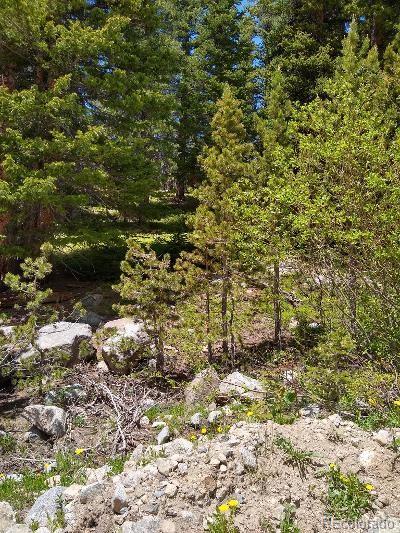 404 Lake Road Idaho Springs, CO 80452 - Photo 9 of 9 Gallery Image 9