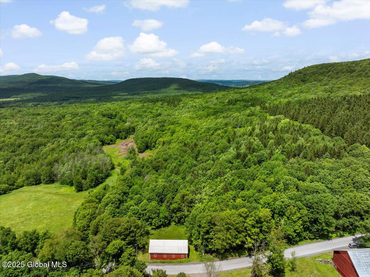 L3 Durham Road Gilboa, NY 12076 - Photo 3 of 11 02-DJI_20250619133328_0147_D_TANY