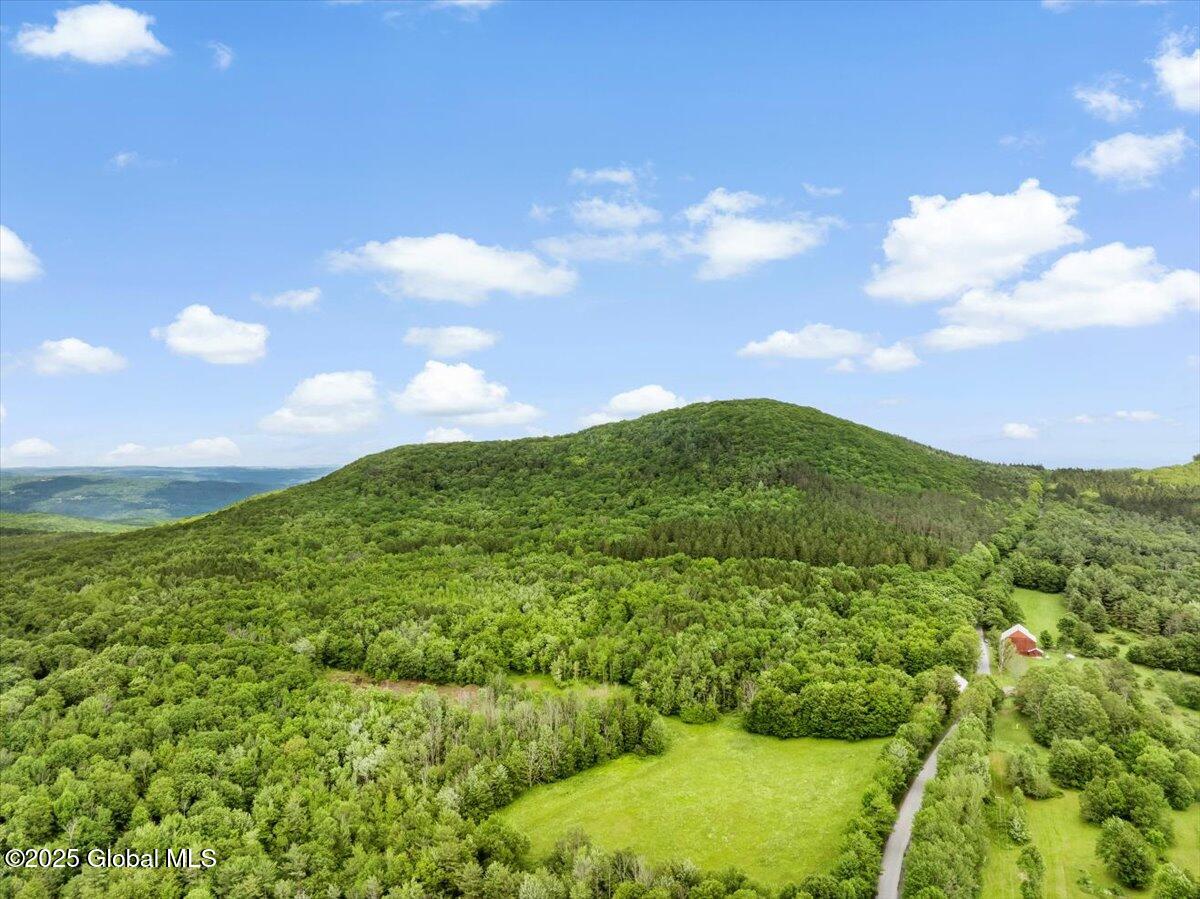 L3 Durham Road Gilboa, NY 12076 - Photo 5 of 11 07-DJI_20250619133748_0165_D_TANY