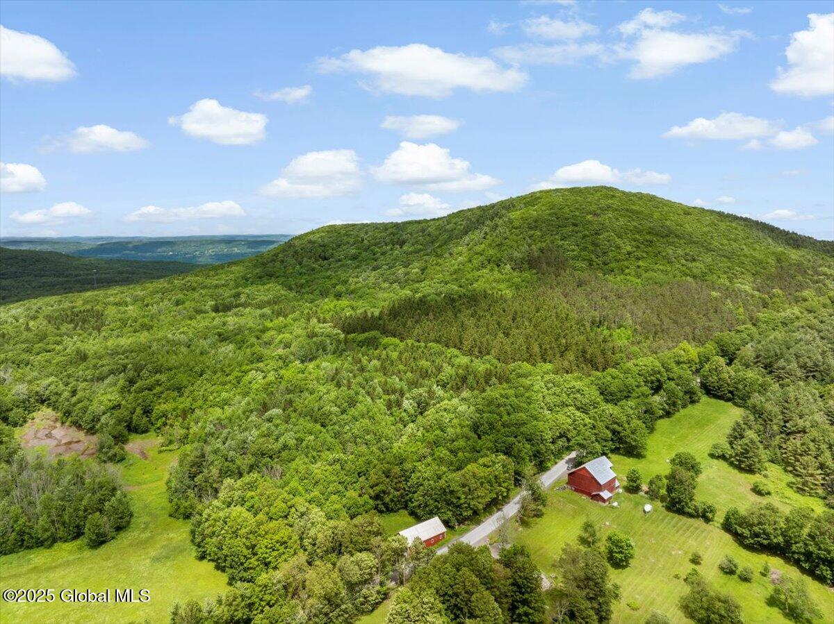 L3 Durham Road Gilboa, NY 12076 - Photo 6 of 11 10-DJI_20250619134048_0177_D_TANY