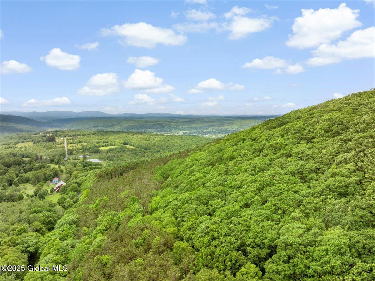 L3 Durham Road Gilboa, NY 12076 - Photo 10 of 11 08-DJI_20250619133905_0168_D_TANY