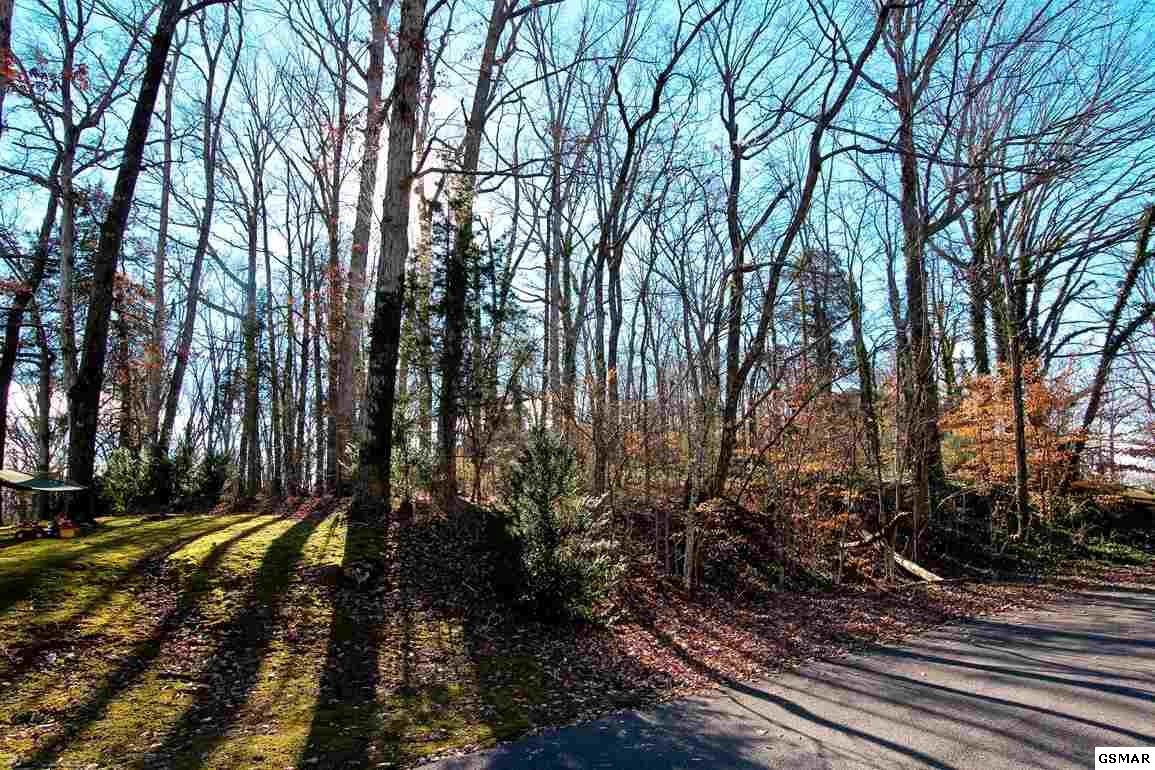 42 Missionary Ridge Road Newport, TN 37821 - Photo 1 of 1 Gallery Image 1