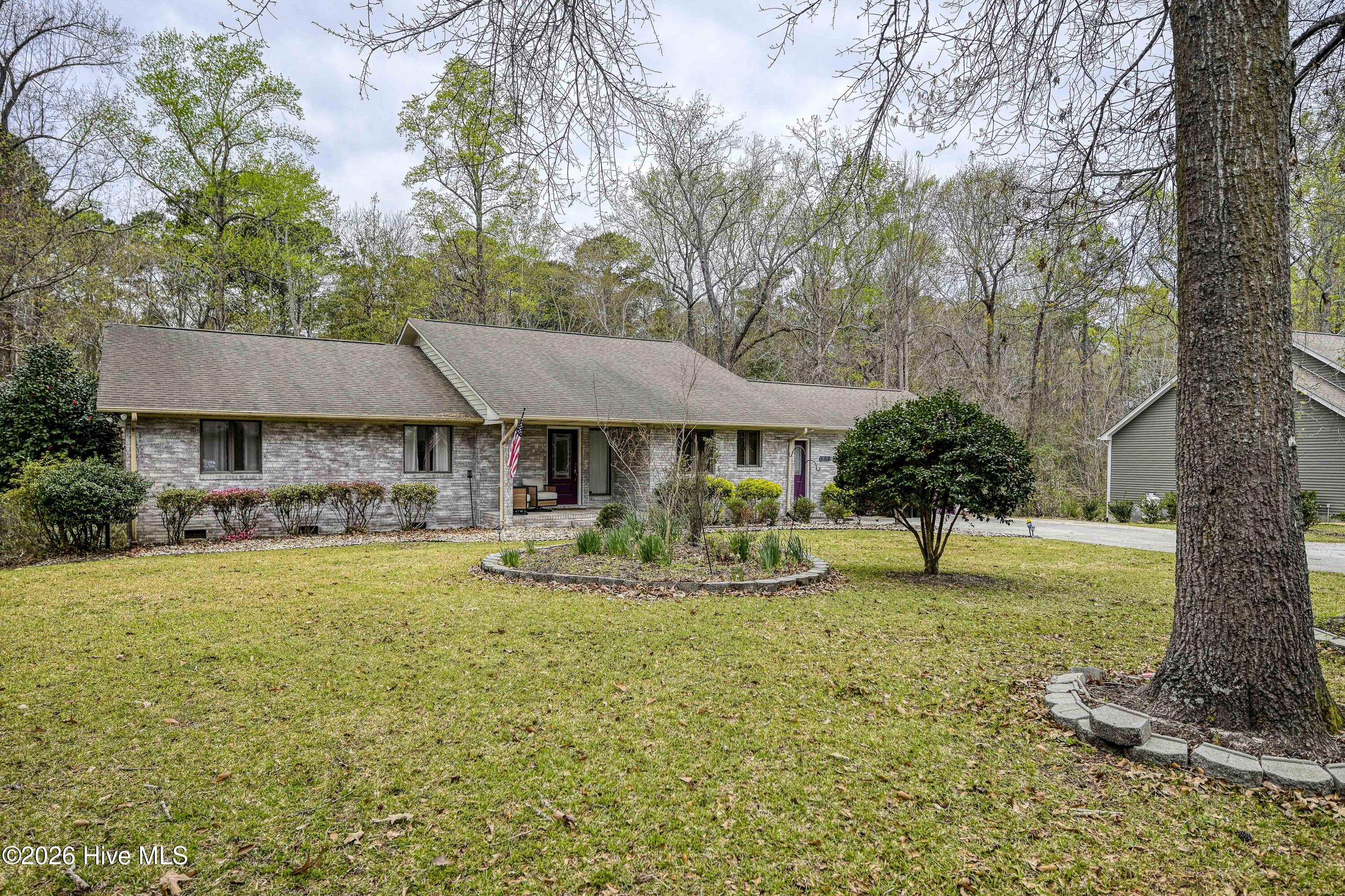 206 Ravenswood Road Hampstead, NC 28443 - Photo 1 of 31 Street View