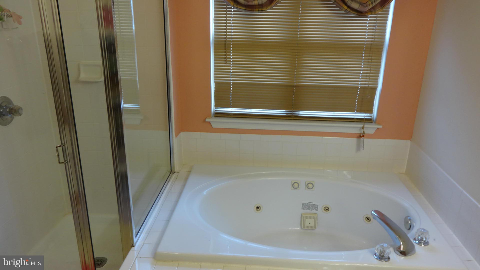 7201 Friendship Road Clinton, MD 20735 - Photo 20 of 25 Bath (Master)