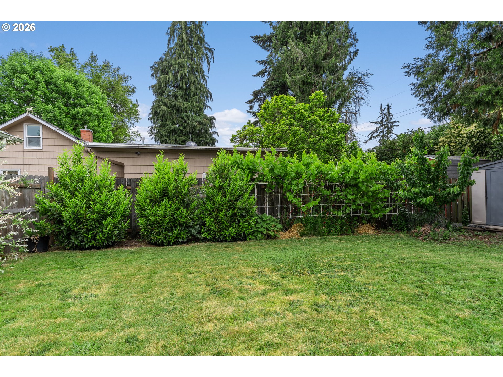 807 Vincent Street Eugene, OR 97401 - Photo 18 of 24