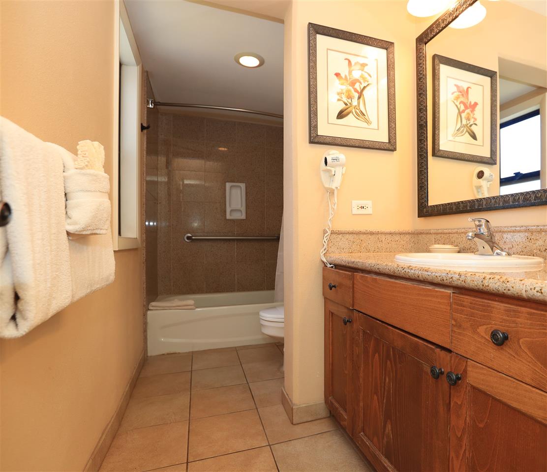 4401 Lower Honoapiilani Road, Unit B501 Lahaina, HI 96761 - Photo 12 of 14 a bathroom with a granite countertop sink toilet and shower