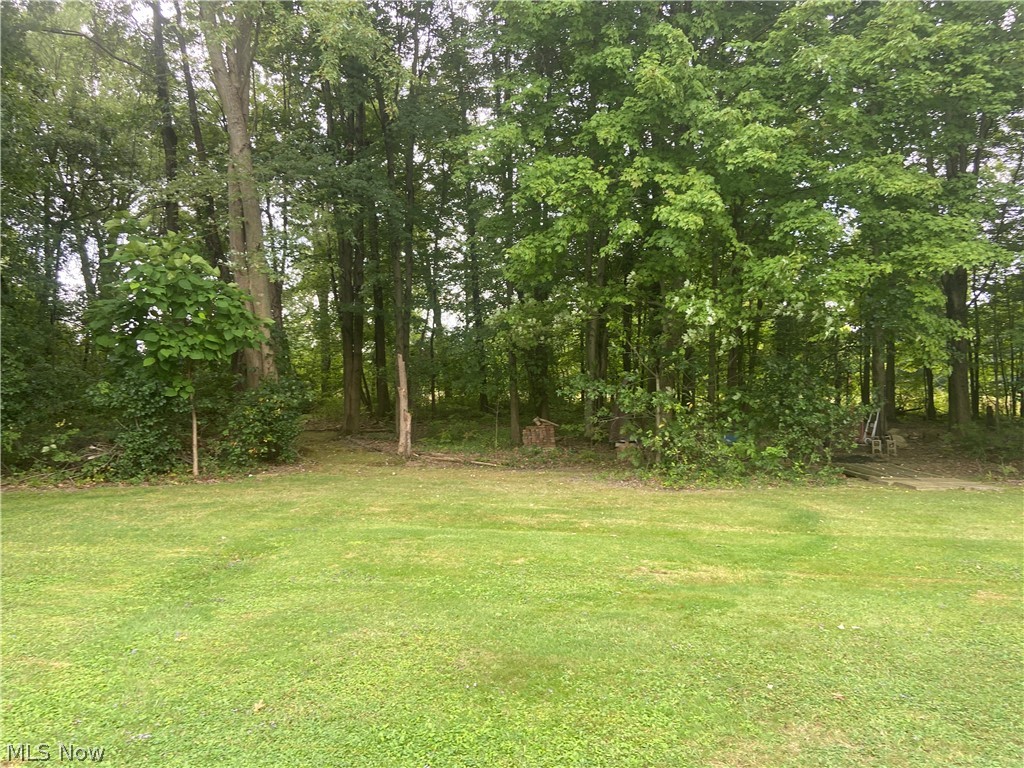 4579 Messerly Road Canfield, OH 44406 - Photo 8 of 23 Gallery Image 8