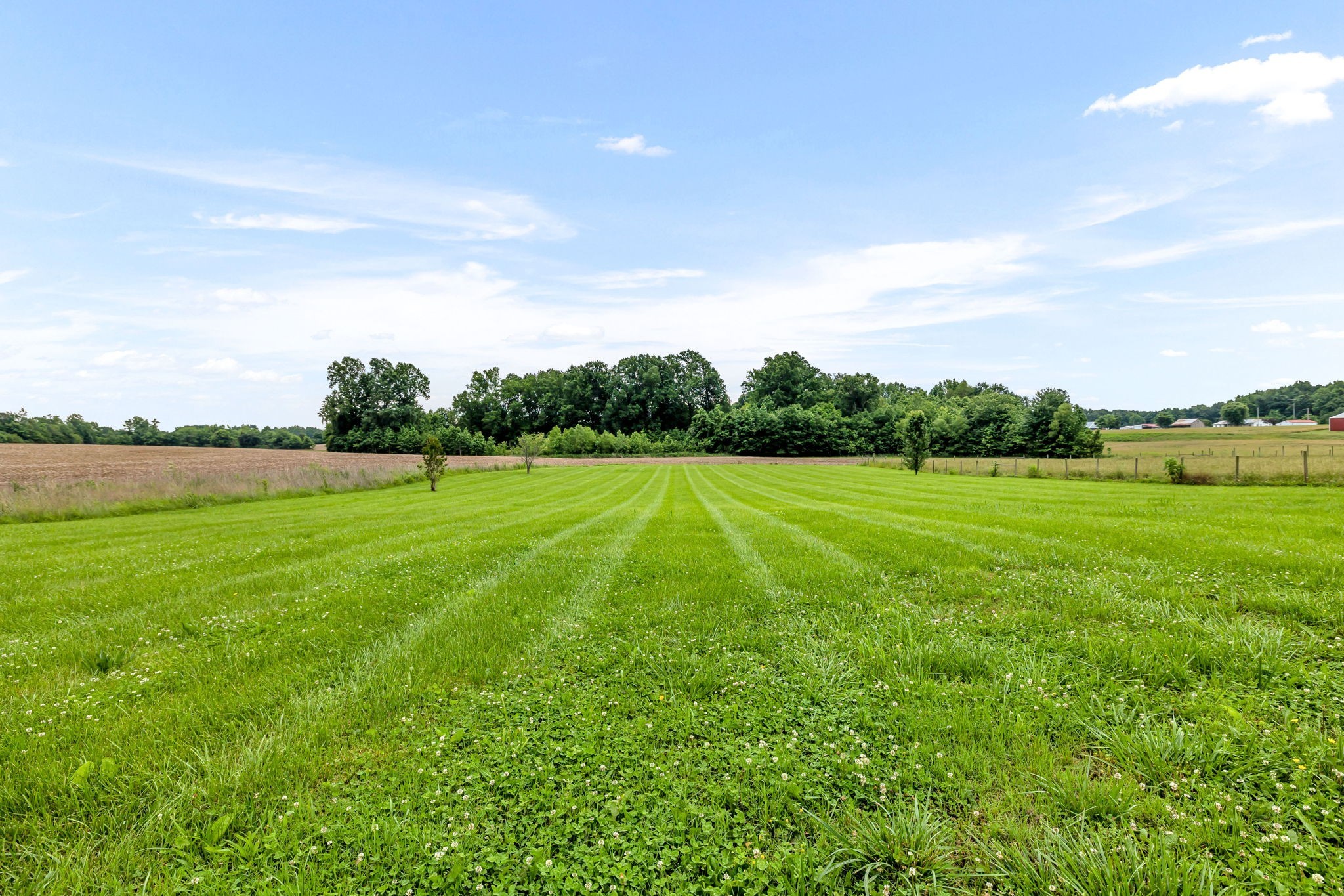 2164 Akersville Road Lafayette, TN 37083 - Photo 7 of 32 a view of a golf course with a lake