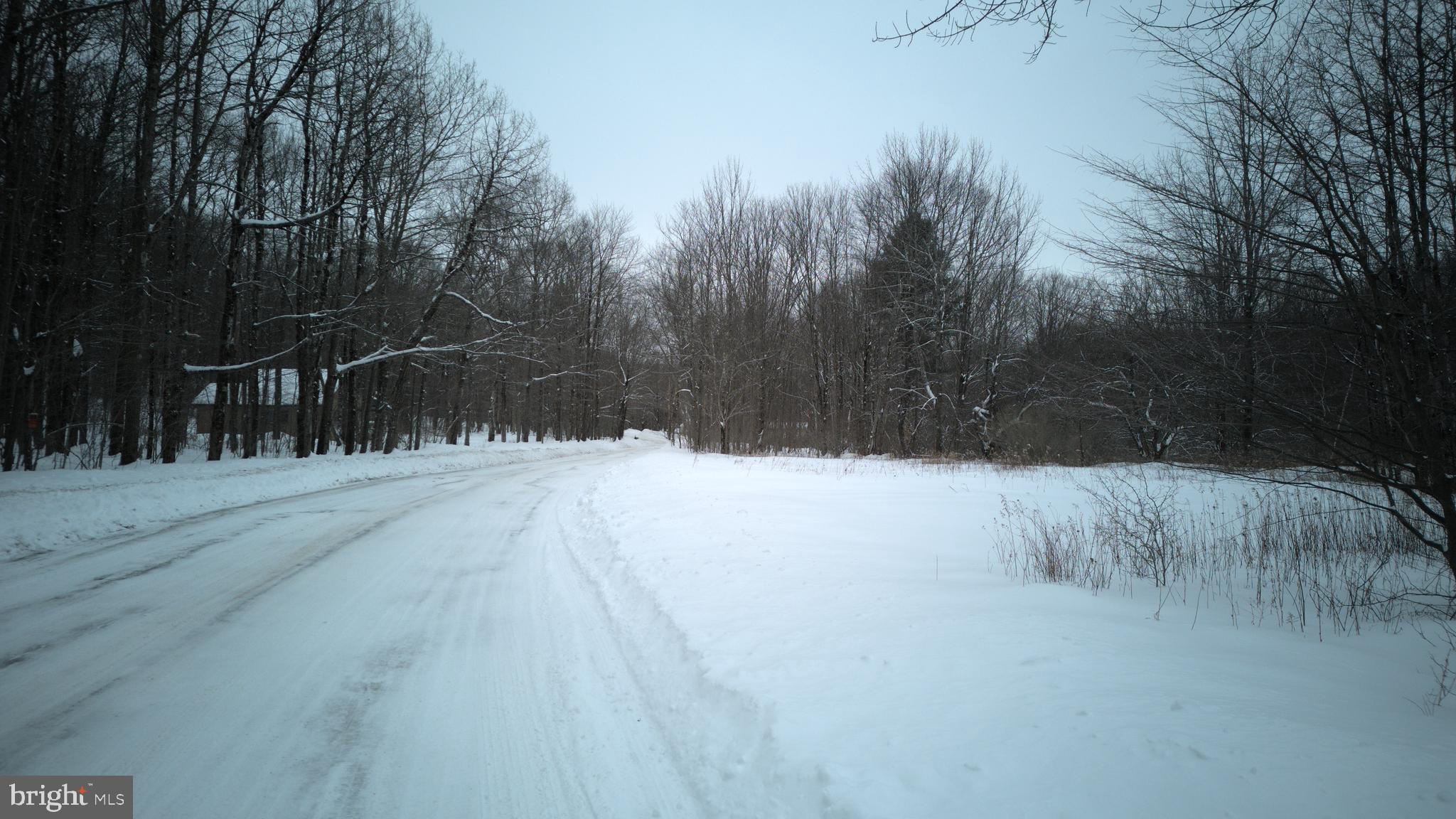 0 Shrawder Mountain Road Starrucca, PA 18462 - Photo 12 of 21 Gallery Image 12