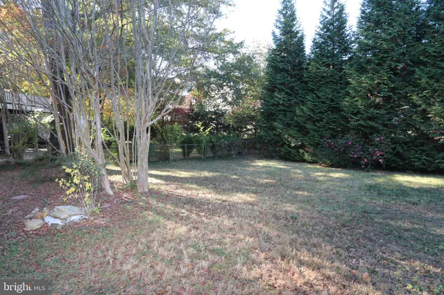 a view of backyard with green space