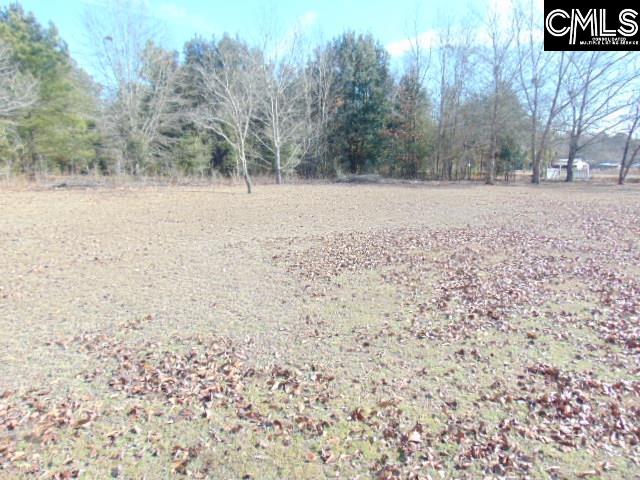 2291 Ninety 6 Road North, SC 29112 - Photo 41 of 42