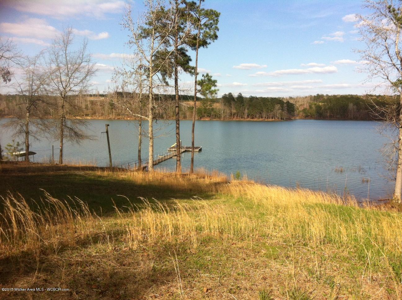 0 Sandy Point Double Springs, AL 35553 - Photo 18 of 18 Gallery Image 18