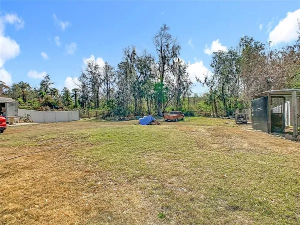 a view of a park with a tree