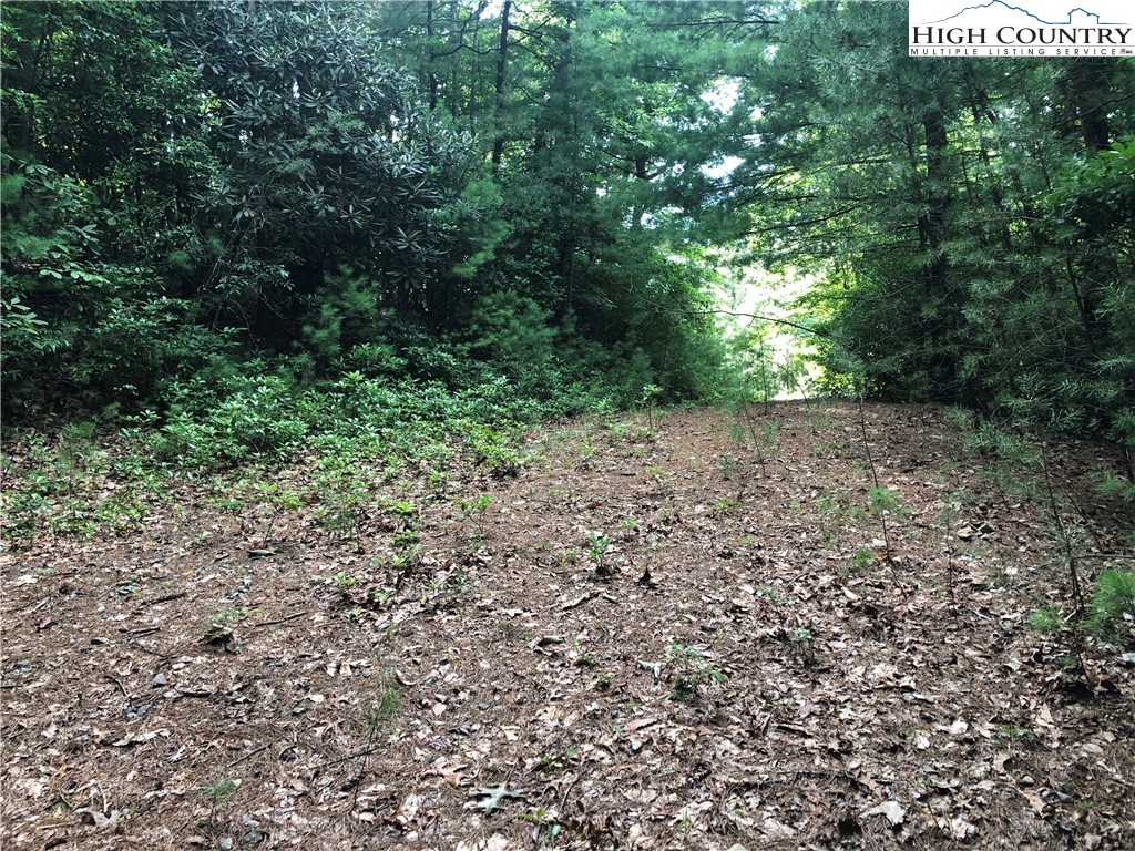 Lot 86 Buck Mountain Road Purlear, NC 28665 - Photo 8 of 40 a view of a yard with a tree
