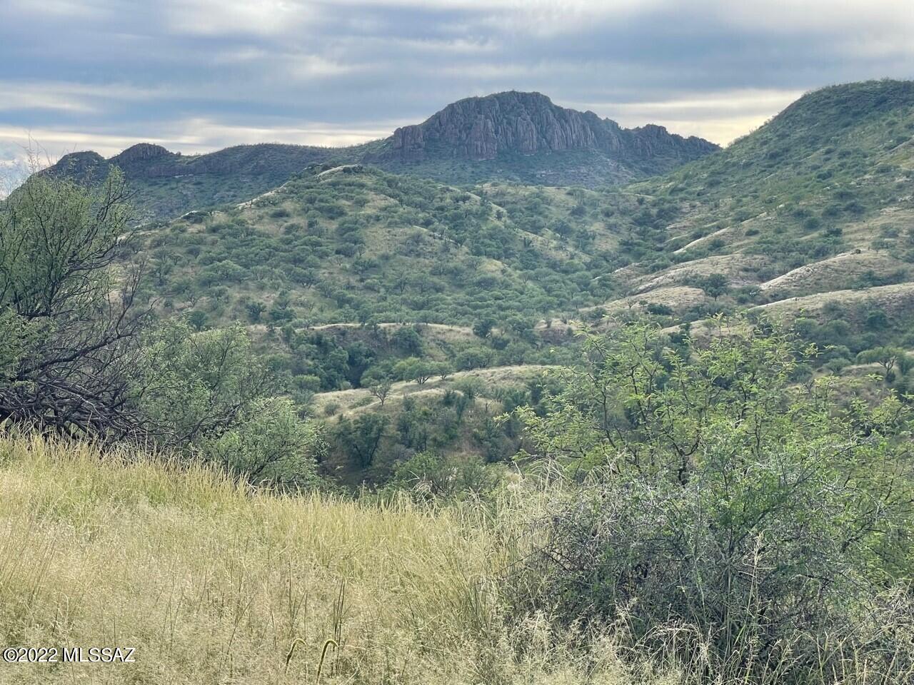 Tbd Tbd Nighthawk Court, Unit 186/5 Rio Rico, AZ 85648 - Photo 10 of 23