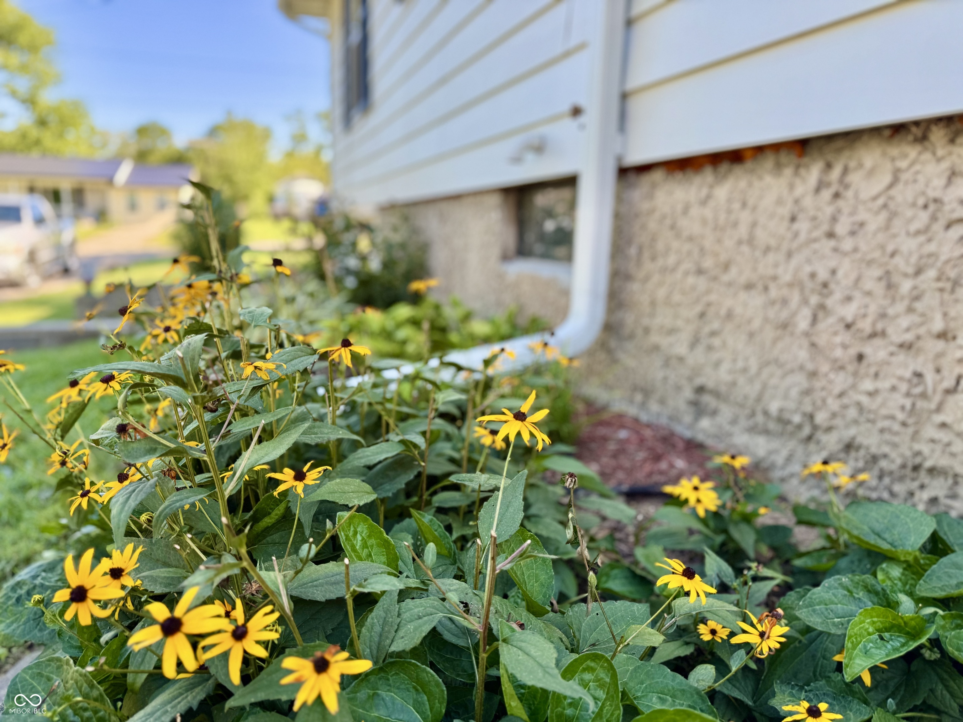 805 Smith Street Salem, IN 47167 - Photo 31 of 34