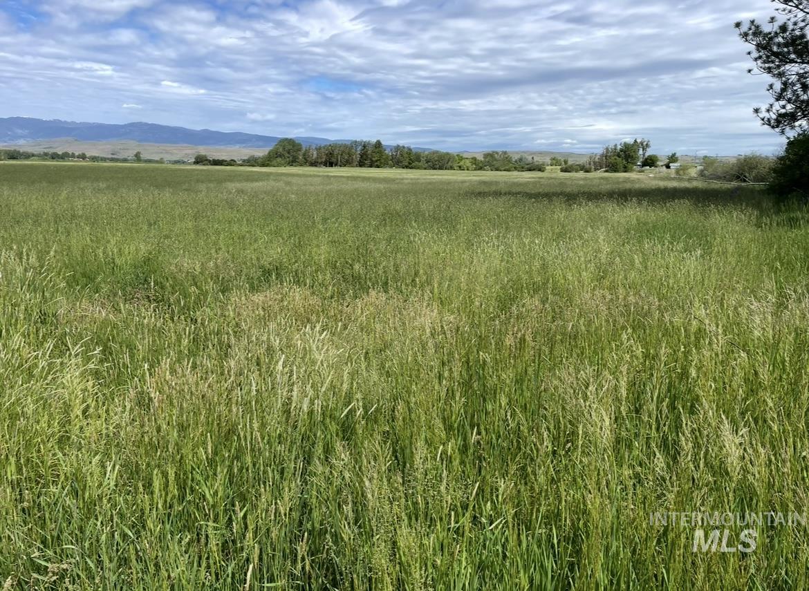 2250 Moritz Lane Indian Valley, ID 83632 - Photo 39 of 49 View of local wilderness featuring rural landscape and mountains