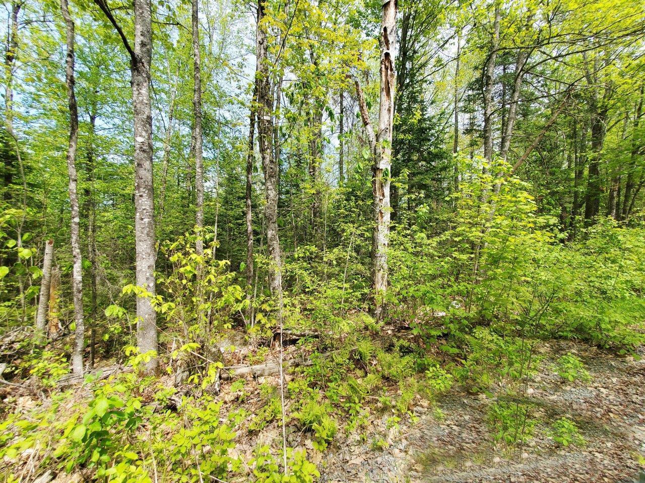 Lot 3 Maple Road Milo, ME 04463 - Photo 22 of 22 20260523_141202 adj