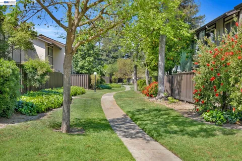 a view of a house with a yard and plants