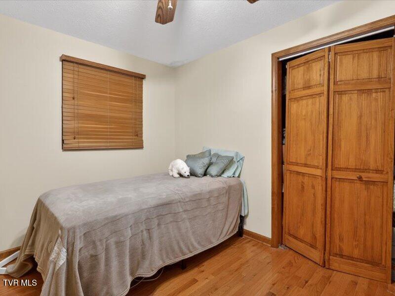 529 Old Gray Station Road Gray, TN 37615 - Photo 22 of 33 22-529-Old-Gray-Station-Rd-WindowStill