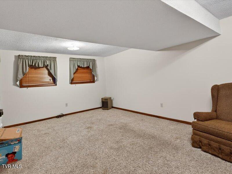 529 Old Gray Station Road Gray, TN 37615 - Photo 23 of 33 23-529-Old-Gray-Station-Rd-WindowStill