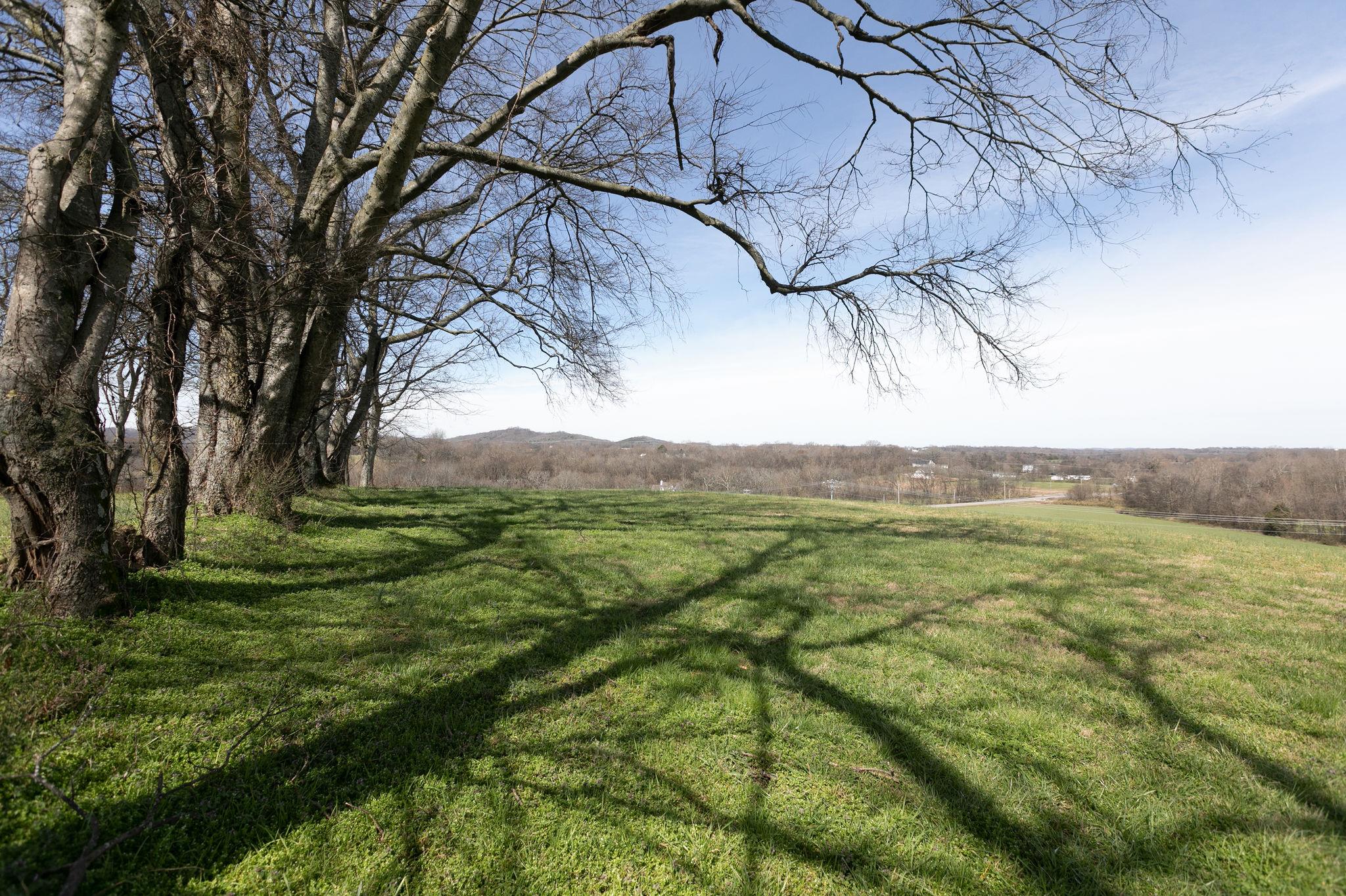 0 Allisona Road Eagleville, TN 37060 - Photo 3 of 15 Gallery Image 3