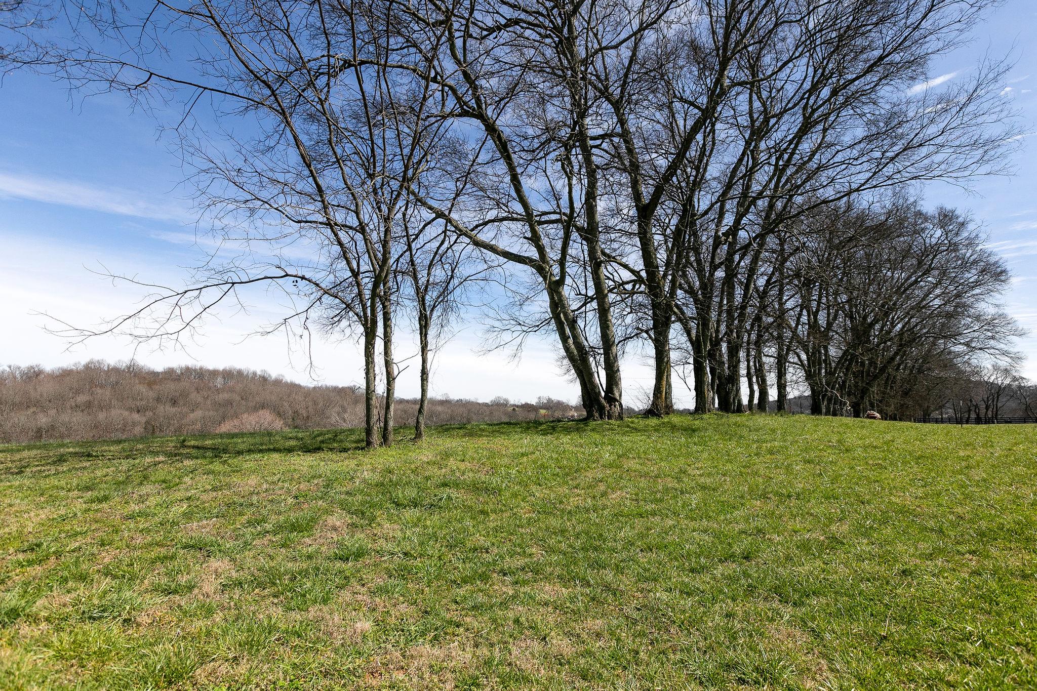 0 Allisona Road Eagleville, TN 37060 - Photo 8 of 15 Gallery Image 8