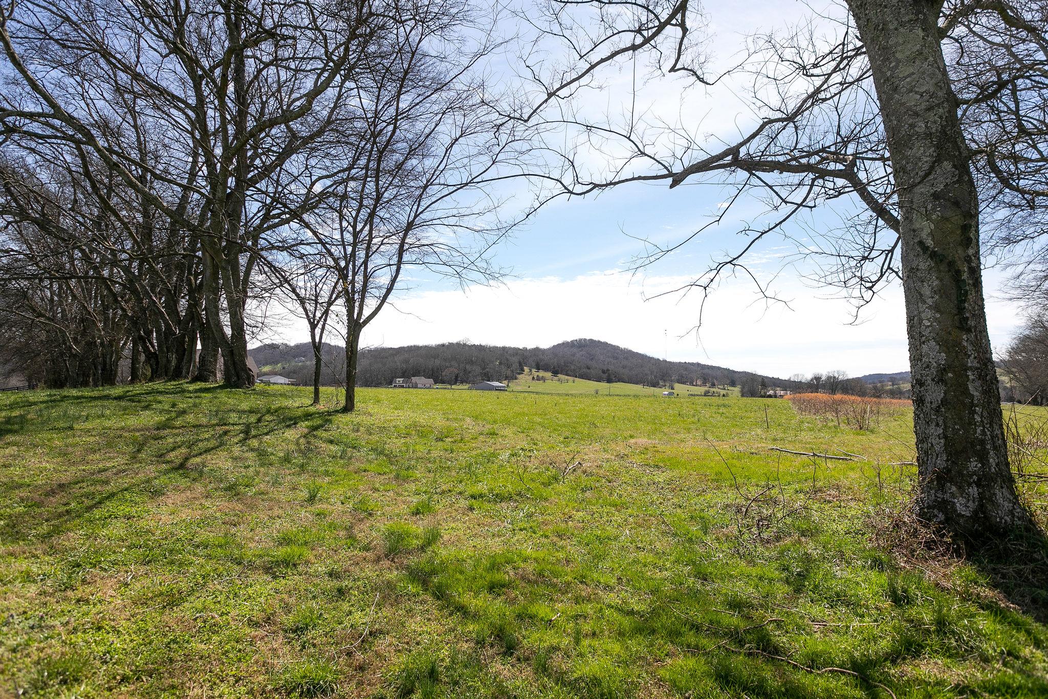 0 Allisona Road Eagleville, TN 37060 - Photo 9 of 15 Gallery Image 9