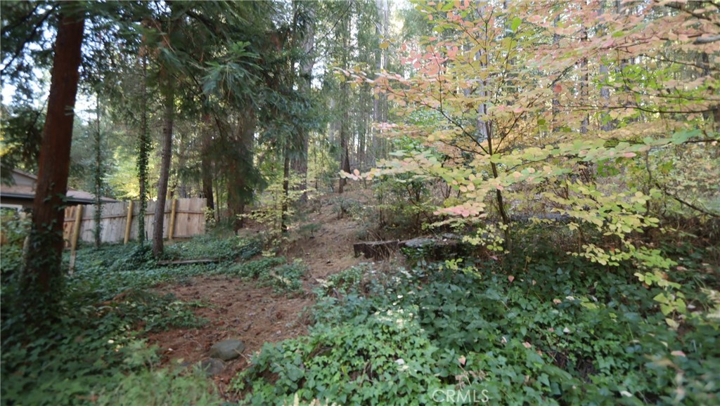 15815 Bottle Rock Road Middletown, CA 95461 - Photo 19 of 20 a view of a yard with large trees