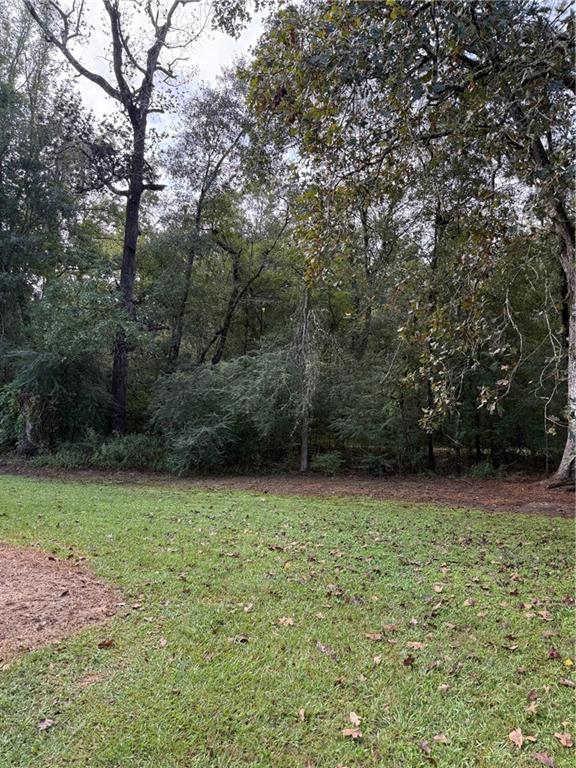18240 Faller Road Tickfaw, LA 70466 - Photo 18 of 19