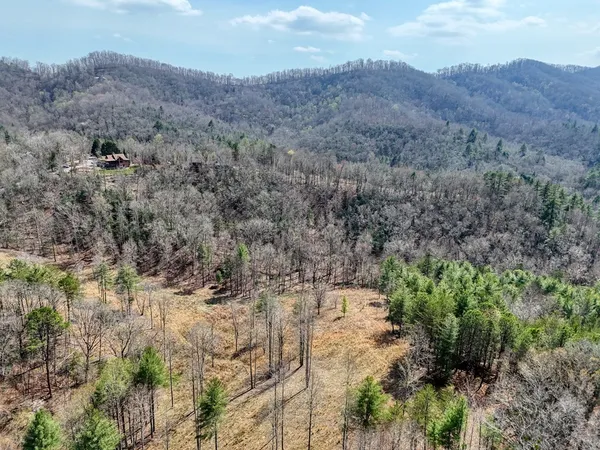 a view of a bunch of trees in a field