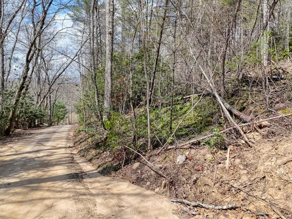 a view of a road with a trees in the background
